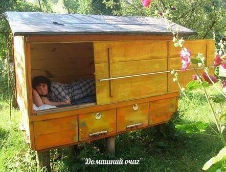 ЗДРАВЫЙ СОН С ПЧЁЛАМИ
