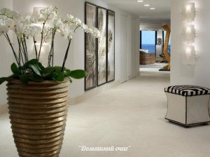 Какие выбрать горшки и подставки для орхидей
