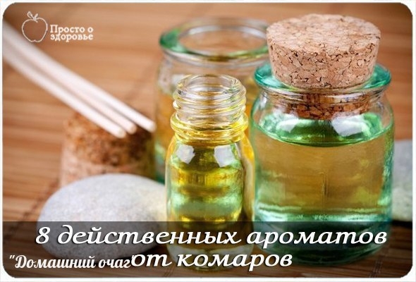 8 ДЕЙСТВЕННЫХ АРОМАТОВ ПРОТИВ КОМАРОВ