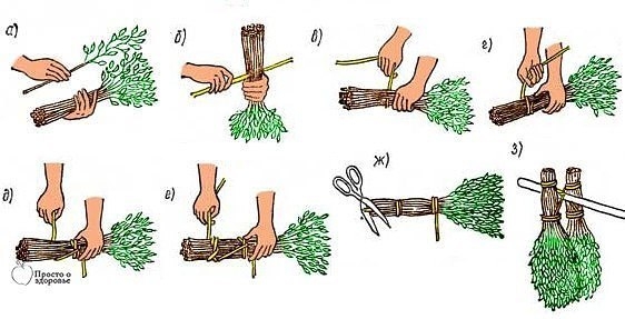 ЗАГОТАВЛИВАЕМ ВЕНИКИ