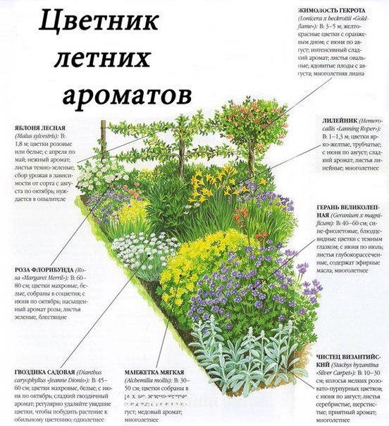 Оформление цветников: 6 идей для дачного сада