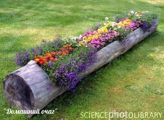 Идея для дачи: клумба в бревне