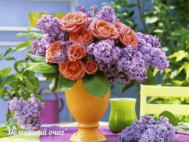 Немного уюта