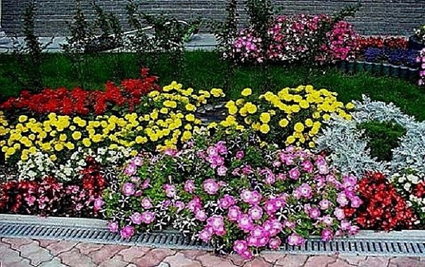 Нерегулярная клумба.