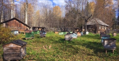 Как построить омшаник для пчел