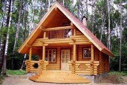 Как построить баню из дерева