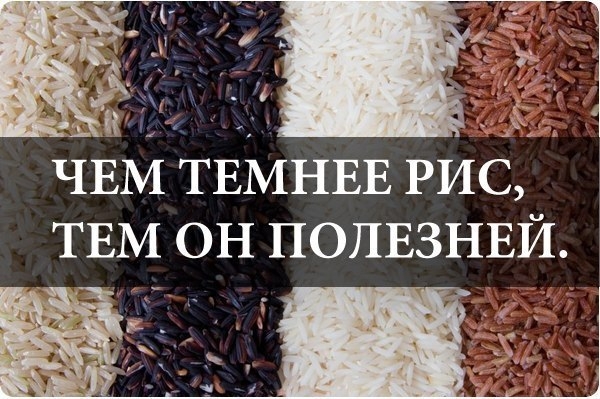 ЧЕМ ТЕМНЕЕ РИС, ТЕМ ОН ПОЛЕЗНЕЙ.