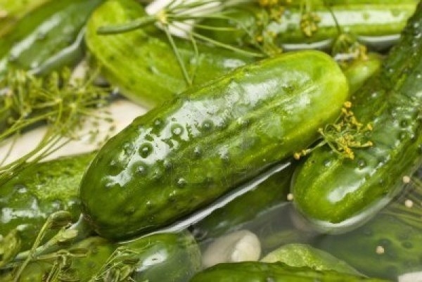 Чудесный рецепт очень вкусных малосольных огурцов