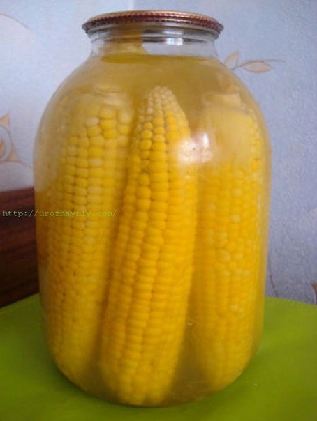 Кукуруза на зиму .