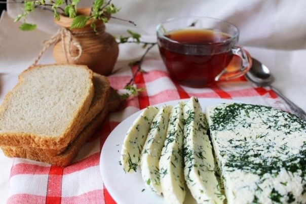 Вкусный и полезный домашний сыр с укропом Вкусный и полезный домашний сыр с укропом