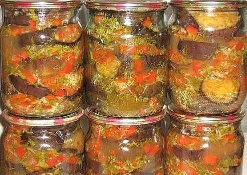 Баклажаны &laquo;Козачек&raquo;.