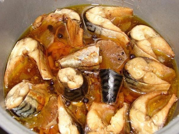 Тушеная скумбрия