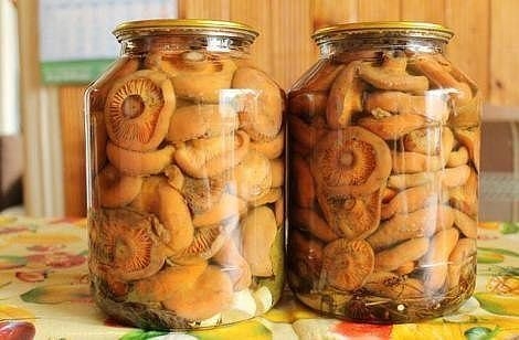 ХРУСТЯЩИЕ РЫЖИКИ ХРУСТЯЩИЕ РЫЖИКИ