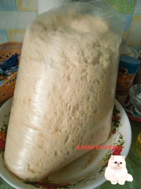 МОЕ ЛЮБИМОЕ ТЕСТО ДЛЯ ПИРОЖКОВ.... МОЕ ЛЮБИМОЕ ТЕСТО ДЛЯ ПИРОЖКОВ....