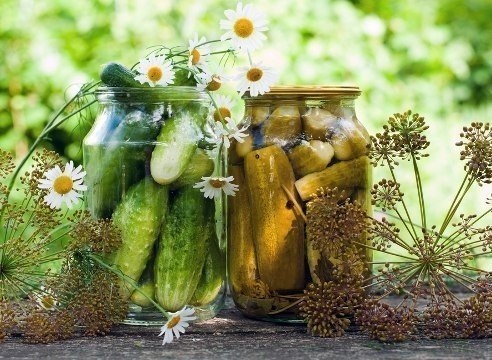 Соленые, консервированные огурцы: 8 рецептов