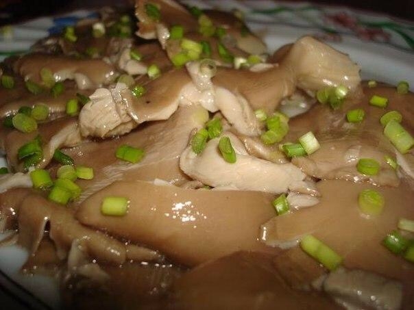 Как замариновать вешенки Как замариновать вешенки