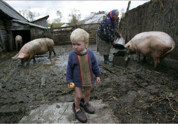 К бабушке в деревню, отвезли на лето... К бабушке в деревню, отвезли на лето...