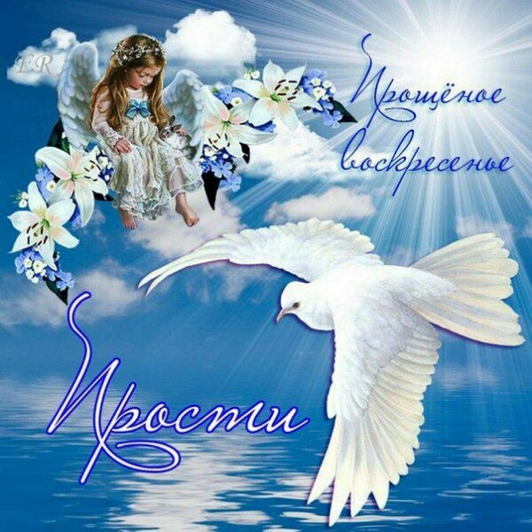 Прошу прощения у тех, Прошу прощения у тех,