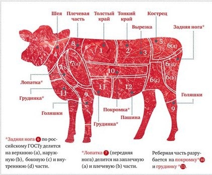 Основные сорта говядины Основные сорта говядины