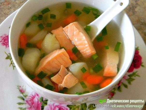 Уха из семги Уха из семги