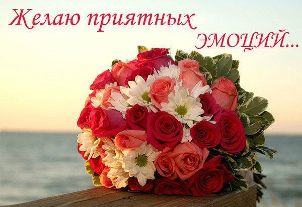 Зинулик а мы решили "рИбный стол" на этот Новый Год сотворить! Мои очень кальмара просЮт в салате, "