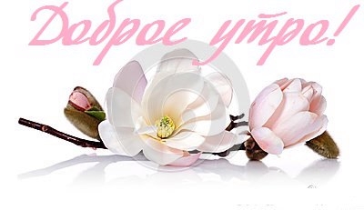ИЮЛЬ пришёл, усталым жаром дышит,