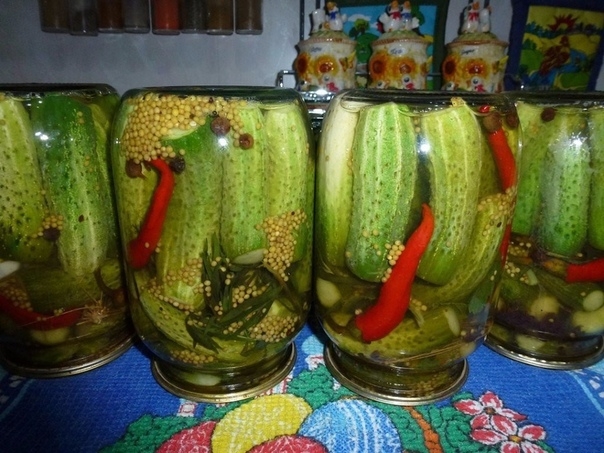 Маринованные огурцы с семенами горчицы