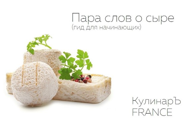 Пара слов о сыре -