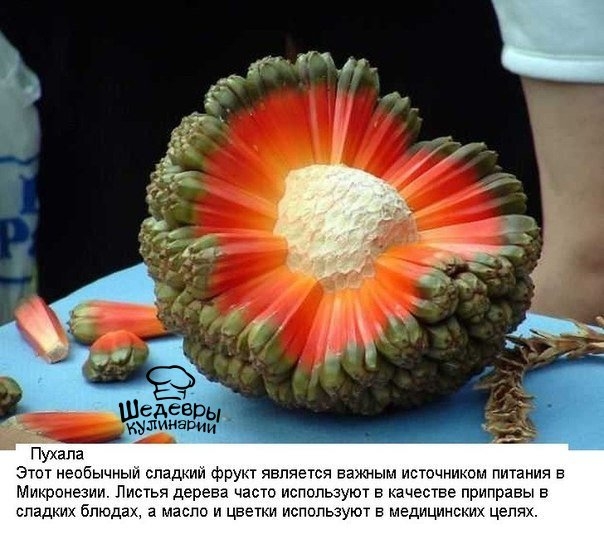 10 экзотических фруктов со всего света