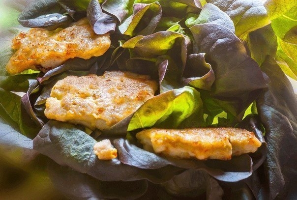 Куриные котлетки-оладьи Куриные котлетки-оладьи