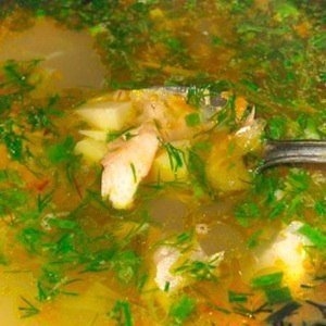 Суп из свежей скумбрии