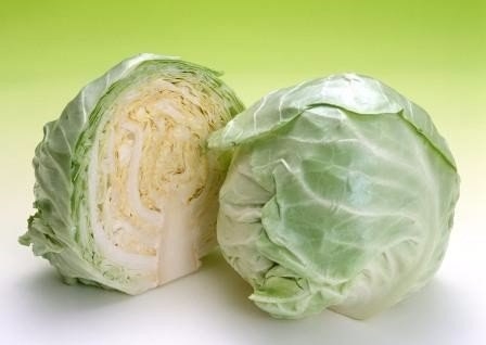 Еще в Древнем Риме белокочанную капусту считали целебной и лечили ею все болезни.