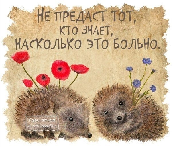 Статусы про предательство и ложь Статусы про предательство и ложь