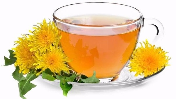 Чай из одуванчика, валерианы, мяты – выберите свой напиток для молодости кожи.