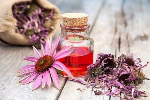 Советы народной медицины для всех, кто хочет быть здоров!