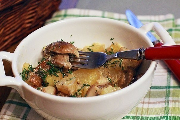 Картофель, тушенный со свежими грибами (обед или ужин)