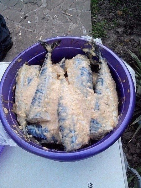 Рыбку на костре люблю еще с тех пор, как папа брал на рыбалку. Но если вдруг рыбалка не задалась, на