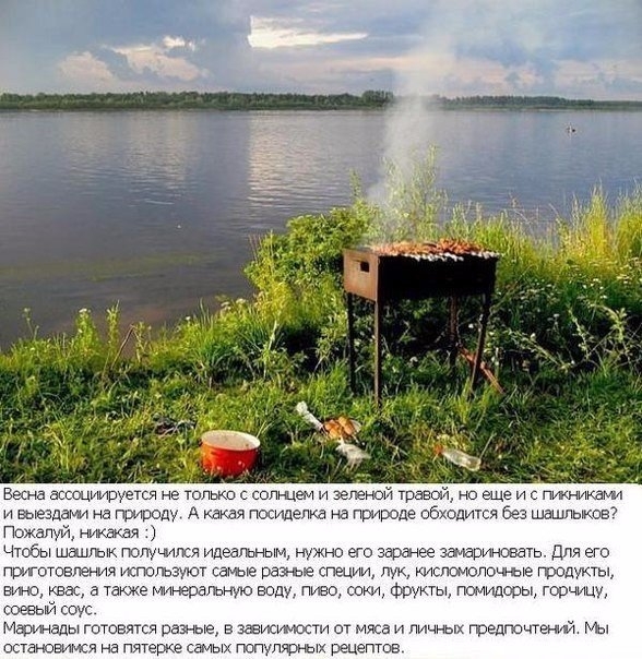9 заповедей шашлычника и 5 популярных маринадов для шашлыков! Забирай на стену, чтобы не забыть! 9 заповедей шашлычника и 5 популярных маринадов для шашлыков! Забирай на стену, чтобы не забыть!