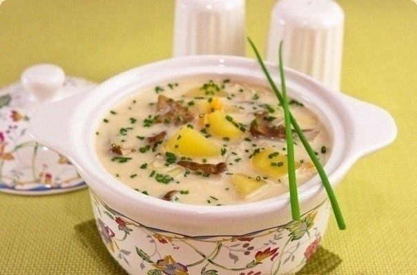 "Сырный суп с белыми грибами"